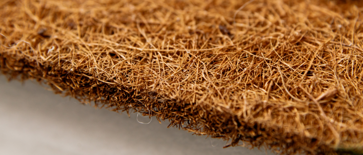 Best Coir Mattress