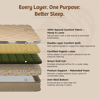 OrthoMagic Essential Mattress