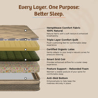 OrthoMagic Premium  Mattress