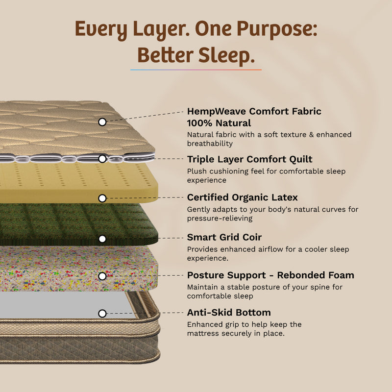 OrthoMagic Premium  Mattress
