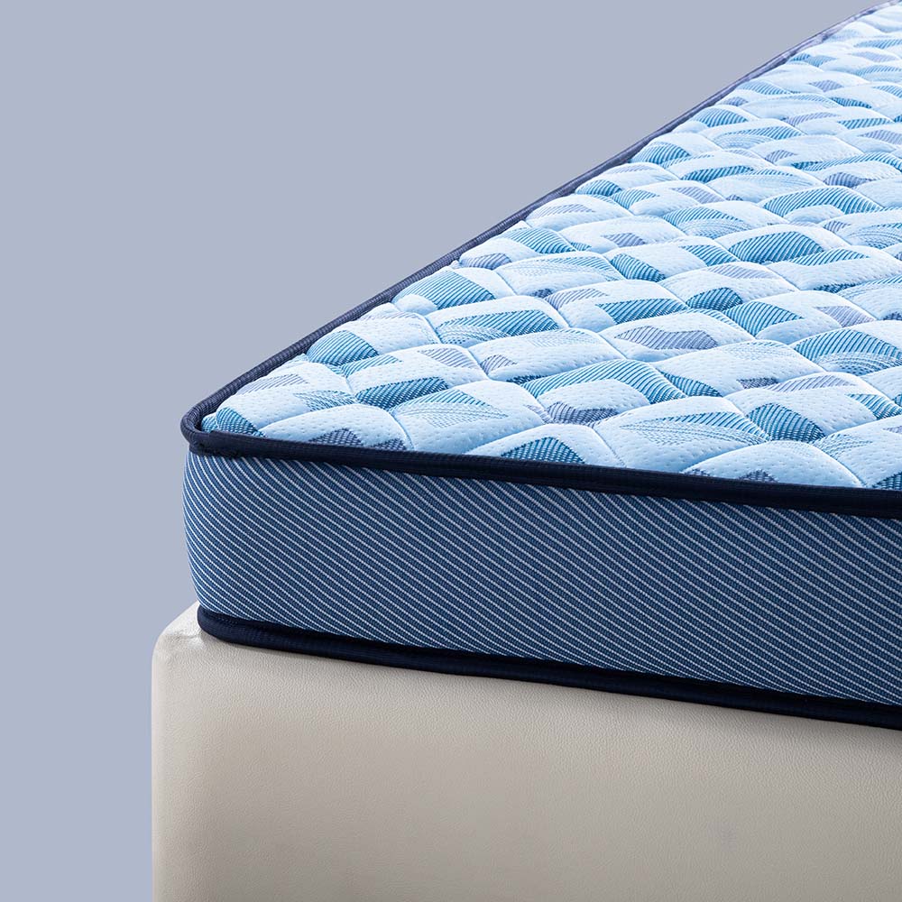 DuoRest Popular Foam Mattress