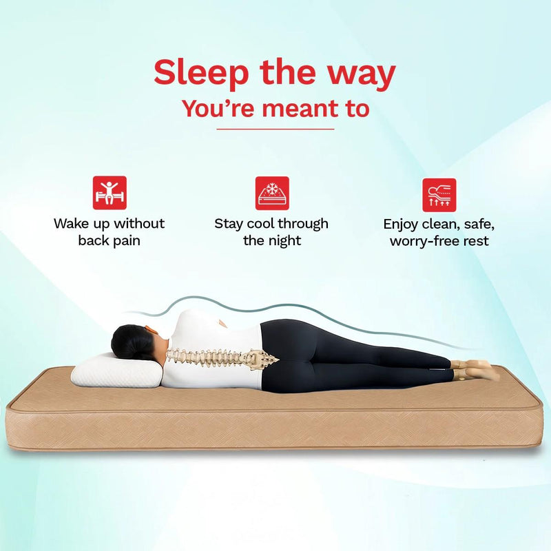 Orthopedic Roll Pack