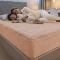 SafeX Mattress Protector
