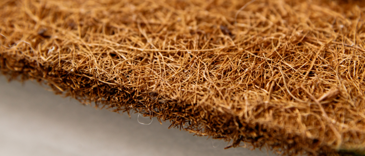 coir mattress